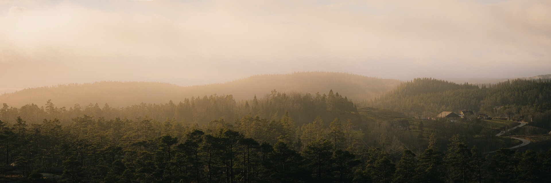 Vidt landskap med tåkedekte skogkledde åser i morgenlys